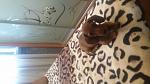     
: 20140809_183632.jpg
: 12
:	83.4 
ID:	8533082
