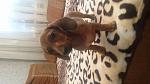     
: 20140809_181940.jpg
: 12
:	83.7 
ID:	8533099