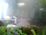     
: IMG_20140601_125654.jpg
: 94
:	91.9 
ID:	8534448