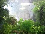     
: IMG_20140601_125648.jpg
: 103
:	124.8 
ID:	8534449