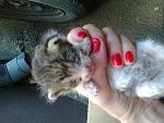     
: 20140812-003.jpg
: 100
:	113.9 
ID:	8534933