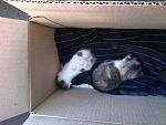     
: 20140812-001.jpg
: 59
:	102.5 
ID:	8534934