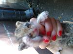     
: 20140812-005.jpg
: 69
:	101.6 
ID:	8534935