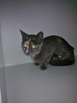     
: WP_000243.jpg
: 21
:	41.2 
ID:	8538843