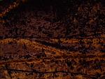     
: DSCN2976.JPG
: 14
:	236.9 
ID:	8542289
