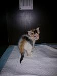     
: WP_000252.jpg
: 22
:	48.9 
ID:	8543629