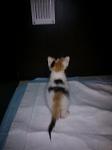     
: WP_000251.jpg
: 22
:	35.8 
ID:	8543657