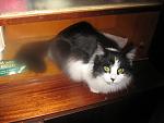     
: Picture-042.jpg
: 39
:	94.1 
ID:	85444