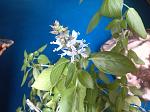     
: IMG_20140806_122337.jpg
: 9
:	119.5 
ID:	8548266