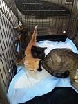     
: 20140803_094459.jpg
: 33
:	94.4 
ID:	8550423