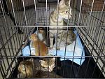     
: 20140803_100027.jpg
: 37
:	195.8 
ID:	8550424