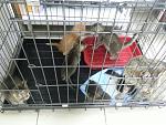     
: 20140810_144134.jpg
: 33
:	165.2 
ID:	8550431