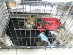     
: 20140810_144141.jpg
: 32
:	177.7 
ID:	8550432