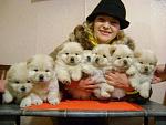     
: DSC01514.jpg
: 27
:	111.5 
ID:	855504