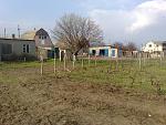    
: 28032014963.jpg
: 16
:	225.1 
ID:	8556778
