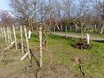     
: 28032014958.jpg
: 17
:	305.3 
ID:	8556779