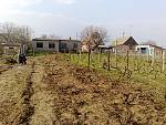     
: 28032014960.jpg
: 14
:	276.8 
ID:	8556781