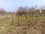     
: 28032014957.jpg
: 19
:	257.0 
ID:	8556782