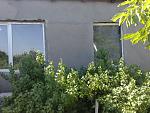     
: 070620141330.jpg
: 16
:	198.9 
ID:	8556783