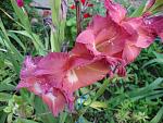     
: DSC05573.JPG
: 7
:	260.2 
ID:	8557255