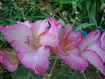     
: DSC05574.JPG
: 4
:	218.4 
ID:	8557258