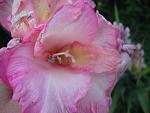     
: DSC05577.JPG
: 4
:	183.0 
ID:	8557261