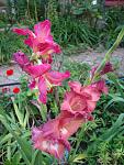     
: DSC05572.JPG
: 5
:	260.6 
ID:	8557262