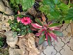     
: DSC05568.jpg
: 6
:	143.9 
ID:	8557305