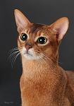     
: _68924_resize.jpg
: 32
:	96.3 
ID:	855995