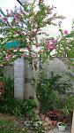     
: DSC05638.JPG
: 5
:	235.8 
ID:	8562319