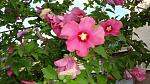     
: DSC05639.JPG
: 6
:	218.8 
ID:	8562328