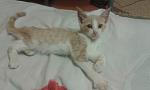     
: 20140815_205528.jpg
: 43
:	65.3 
ID:	8564924
