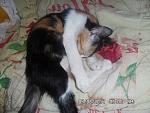     
: SAM_3094.jpg
: 11
:	119.9 
ID:	8566266