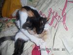     
: SAM_3098.jpg
: 11
:	117.2 
ID:	8566268
