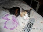    
: SAM_3082.jpg
: 11
:	127.3 
ID:	8566282