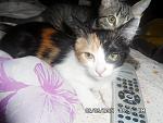     
: SAM_3083.jpg
: 9
:	138.2 
ID:	8566283