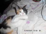     
: SAM_3054.jpg
: 15
:	95.3 
ID:	8566285