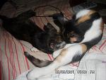     
: SAM_3107.jpg
: 9
:	116.8 
ID:	8566296