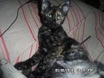     
: SAM_3106.jpg
: 8
:	151.9 
ID:	8566313