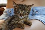     
: guq_uQMQOwg.jpg
: 9
:	49.7 
ID:	8567323