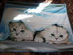     
: 20140820_102129.jpg
: 24
:	118.9 
ID:	8571138
