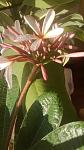     
: WP_20140820_001.jpg
: 8
:	73.8 
ID:	8573319