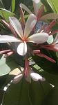     
: WP_20140820_005.jpg
: 8
:	60.2 
ID:	8573320
