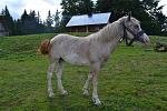     
: DSC_0618.jpg
: 15
:	209.1 
ID:	8573696