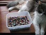     
: IMG_9730.jpg
: 26
:	153.4 
ID:	8576532