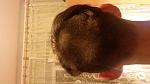     
: 20140821_205605.jpg
: 42
:	98.1 
ID:	8578099