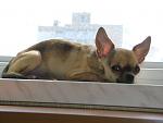     
: DSC03837.jpg
: 16
:	81.1 
ID:	8578896