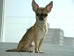     
: DSC03836.jpg
: 21
:	78.1 
ID:	8578897