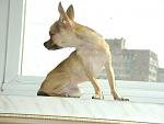     
: DSC03838.jpg
: 15
:	83.6 
ID:	8578898