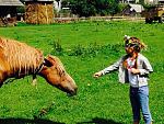     
: image (13).jpg
: 79
:	112.8 
ID:	8583996